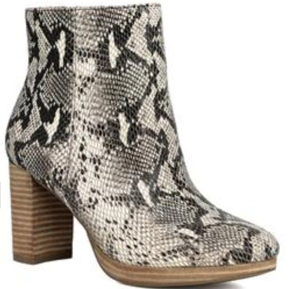 American Rag Shoes - American Rag Womens Hayes Genuine Leather Block Heel Booties,  Snake Skin Print